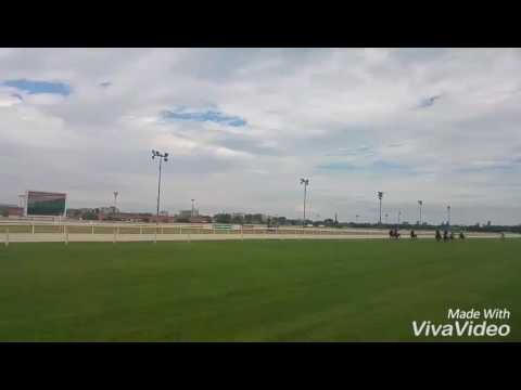 Kalovits Panna+Álmos, Pónigalopp 1. Hely!(Kincsem Park,2016.07.03.)