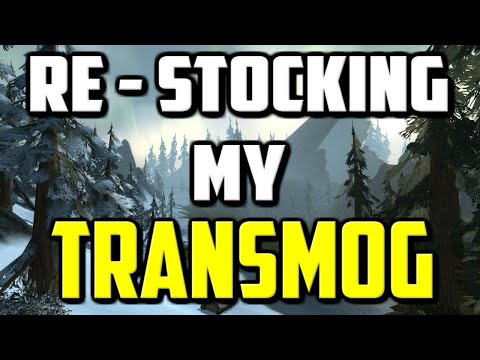 Re-Stocking My Transmog - WoW Gold Farming - WWG 39