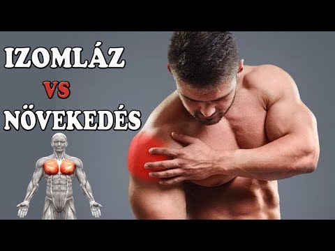 férgek a méhből tabletták férgek mebendazol
