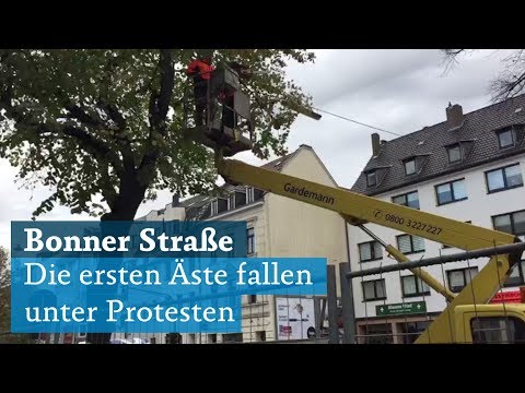Bonner Straße in Köln: Bäumfällung startet unter Protesten der Demonstranten