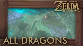 Zelda Breath of the Wild - All Dragon Locations & Shrine Quests