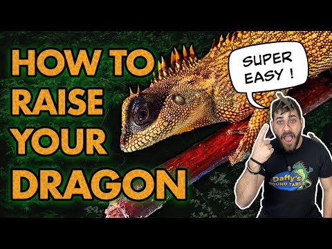 Watch This Before You Buy A Mountain Horned Dragon!