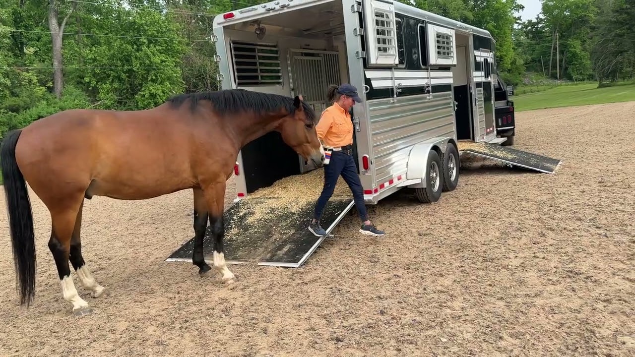 How do We Respond When Horses are VERY Afraid of the Trailer?