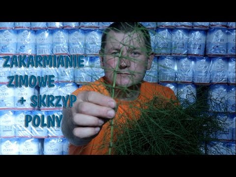 Witaminy jedzenie sportowe dla wzrostu włosów Himalaya Krem przeciw wypadaniu włosów