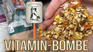 VITAMINE IM WINTER | Pferdefutter | BinieBo