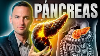 Detecta en CASA si tu Páncreas está en problemas: SEÑALES CLAVE