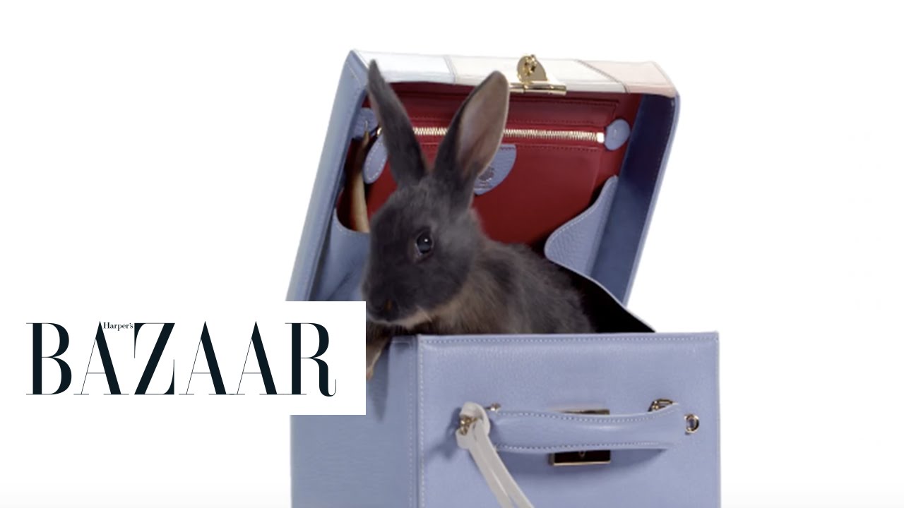 Baby Bunnies and Springs Hottest Handbags thumnail