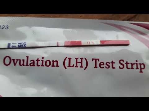 atgriežoties pagātnē! izbrauciens...