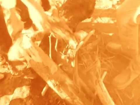 I found way of life【2002年作品】