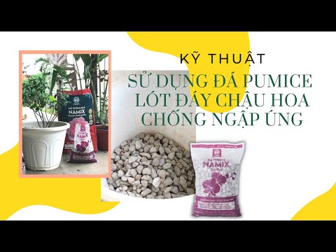 Kỹ thuật sử dụng đá pumice Namix lót đáy chậu hoa chống ngập úng
