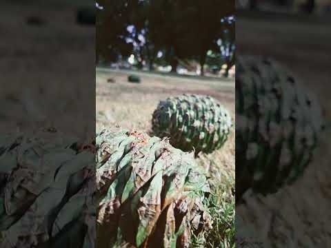 #fotografia #josefina #santafe