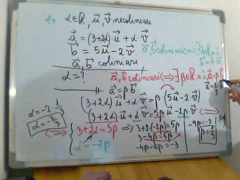 Coliniaritatea vectorilor-clasa a 9a mate-info