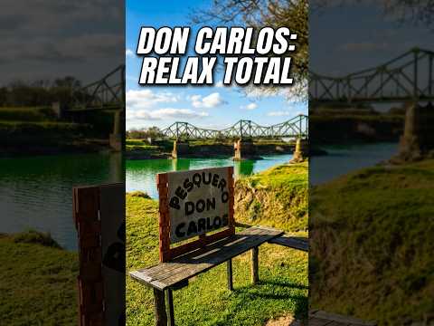 Tranquilidad total en Pesquero Don Carlos 🌳#shorts  #fishinglife #relax