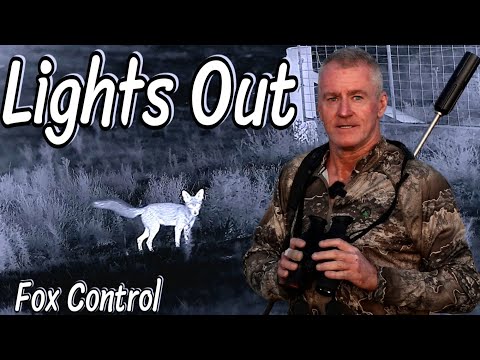 FOX CONTROL || THERMAL HUNTING || ROAMING THE PADDOCKS