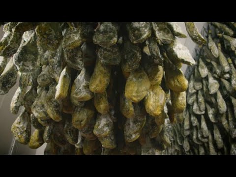 El precio del jamón ibérico, por las nubes