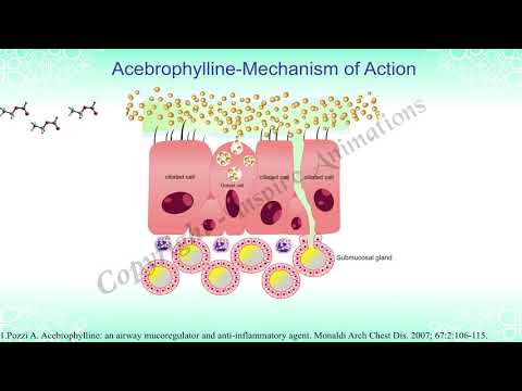 Acebrophylline capsule 100 mg