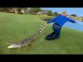 Top 5 Job