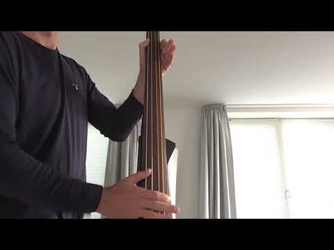 Lenzner Fisoma Gut Double Upright Bass Strings G & D image 9