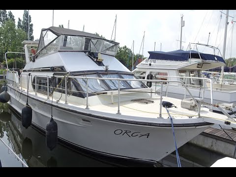 Cytra Ambassador 38 Sport
