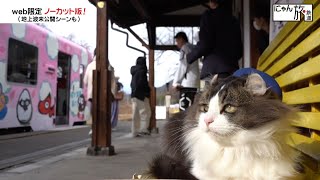 Vol.43「にゃん旅鉄道」仕事モード全開にゃ！