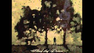 Taste The Change - Bleed The Dream