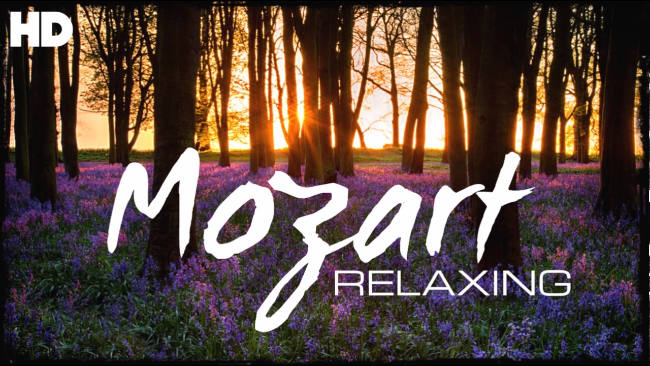 The Best Relaxing Classical Music Ever By Mozart - Relaxation Meditation Reading Focus