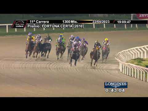 230422 c11 QUICK QUEEN