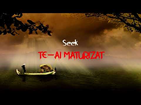 Seek - Te-ai Maturizat
