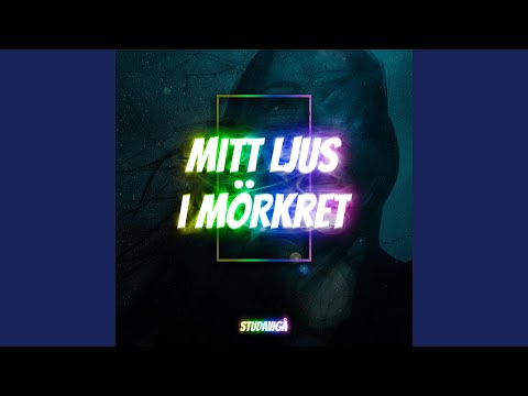 MITT LJUS I MÖRKRET