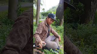 Download lagu Ngopi Baraya 😊🙏 #shortsvideo #sawah #pemandangansawahdidesa mp3