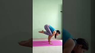 Download lagu Bakasana for beginners | in hindi | Bakasana for beginners crow pose yoga arm balance | #shorts mp3 Download lagu Bakasana for beginners | in hindi | Bakasana for beginners crow pose yoga arm balance | #shorts mp3