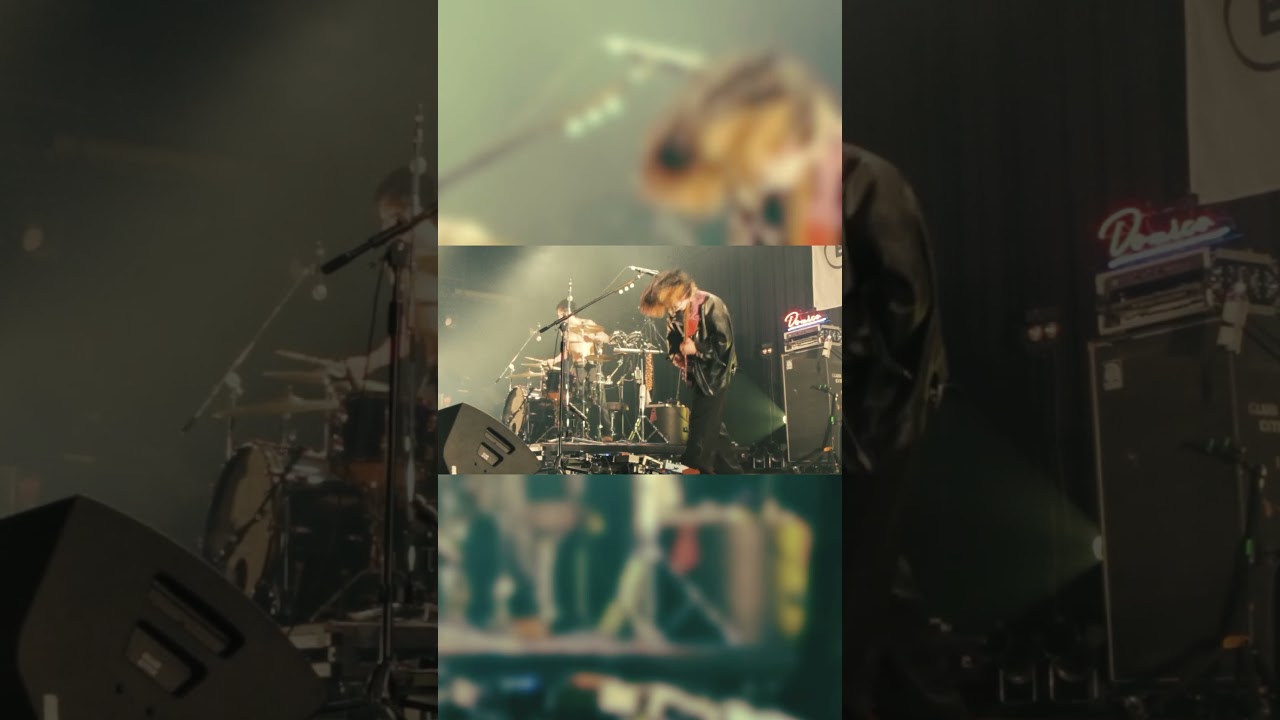 #domico #ドミコ #shortvideo #live