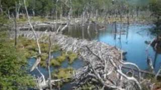 Timoria - Sudamerica