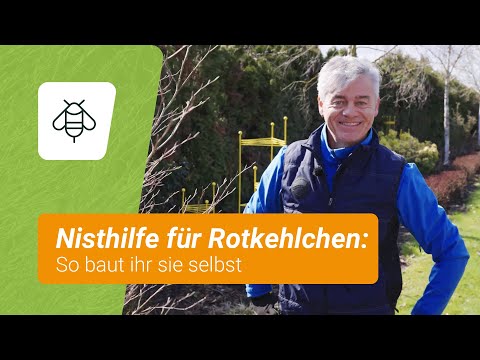 Nisthilfe für Rotkehlchen basteln: So geht's Schritt für Schritt ⚒️