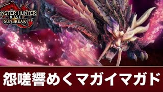 [MHR:SB] MR100解放クエ絶対にクリアしてやるぞ