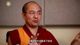 06慧晤—科学时代的佛教-索达吉堪布对话晧利·盖利教授 >> 科学时代的佛教 01 上师回答03 吃肉：谁杀谁吃，因果有别