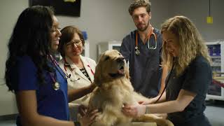 LMU-College of Veterinary Medicine at Orange Park