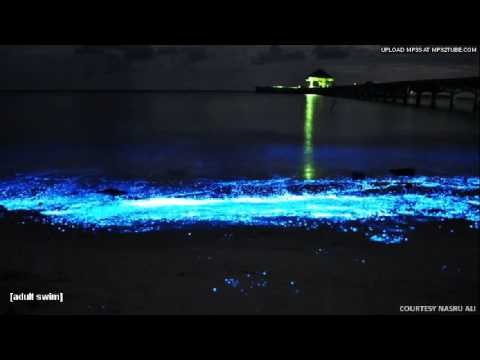 [Adult Swim] Bump: Neon Shores