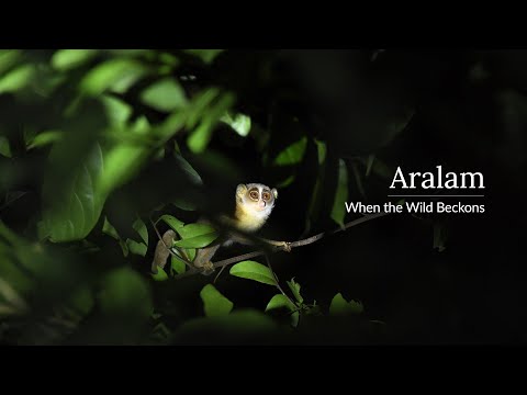 Aralam Wildlife Sanctuary 