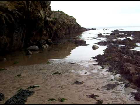 Copy of Fife coastal scene