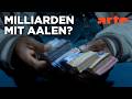 Milliarden Dollar Babies Große Gewinne Mit Kleinen Aalen Doku HD ARTE