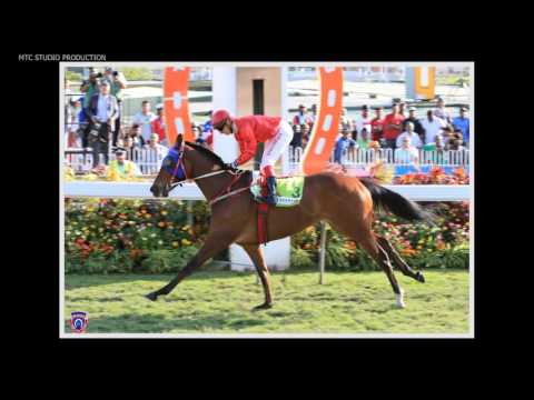 PHOTO GALLERY 2016 - RACE MEETING 21