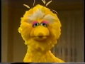 Sesame Street Big Bird Sleeps Over At Gabi S
