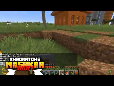 BURACZEK O BANIE DLA PACZOL! | KWADRATOWA SHOTY