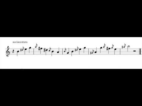 tutorial n 11 for baroque flute