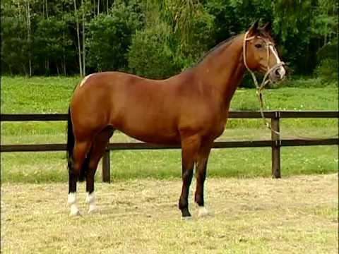 Las Callanas Deseada