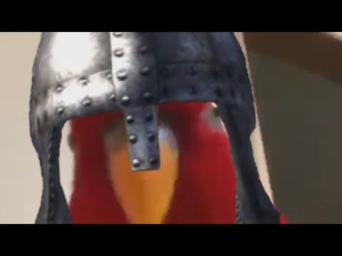 Oblivion Red Bird Guard