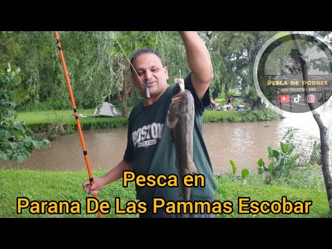 Pesca en Parana De Las Palmas  Escobar 
