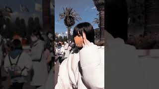 徳川家康(加藤のあちゃん)歌詞動画　sui あーもう可愛い君が愛おしい　TikTok