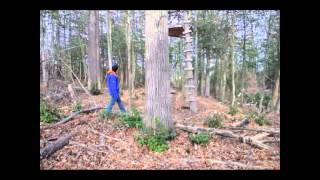 Jack Johnson- Never Know